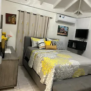  Holiday home Beautiful Vacation Jamaica